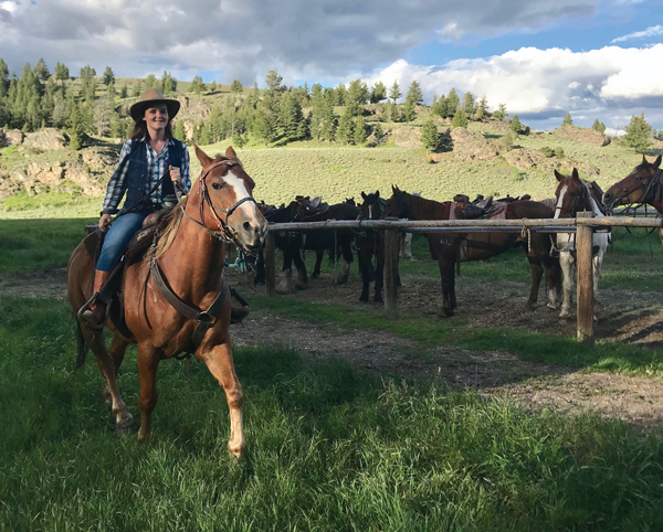 Working a Job as a Wrangler - Young Rider magazine