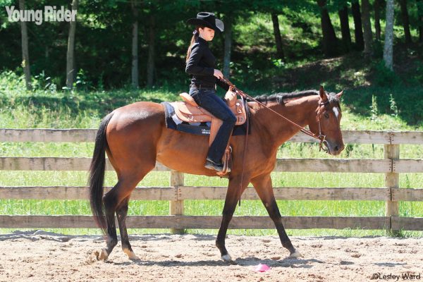 Circling a horse