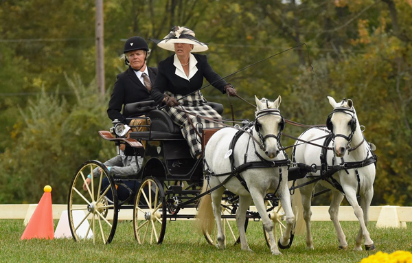 2020 USEF Intermediate Combined Driving National Champions Named in Single Horse and Pairs Divisions